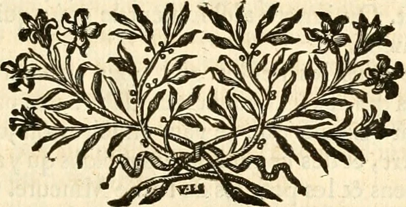 An illustration from De l'origine des loix, des arts, et des sciences, et de leurs progrès chez les anciens peuples, 1758, leaf 136