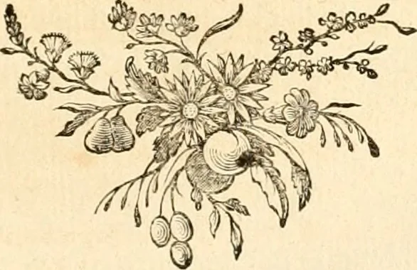 An illustration from De l'origine des loix, des arts, et des sciences, et de leurs progrès chez les anciens peuples, 1758, leaf 404