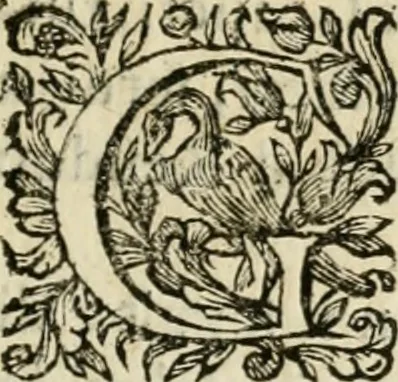 An illustration from L'orologio del piacere : che mostra l'ore del dilettevole soggiorno havto dall'altezza serenissima d. Ernesto Avgvsto, vescovo d'Osnabrvc, duca di Bransuich, Luneburgo, &c. nel luoco di Piazzola di s.e. il signor Marco Contarini, procurator di S. Marco, consacrato all' a.s. dalla medemma eccellenza, 1685, leaf 10