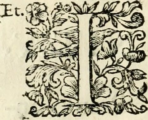 An illustration from L'orologio del piacere : che mostra l'ore del dilettevole soggiorno havto dall'altezza serenissima d. Ernesto Avgvsto, vescovo d'Osnabrvc, duca di Bransuich, Luneburgo, &c. nel luoco di Piazzola di s.e. il signor Marco Contarini, procurator di S. Marco, consacrato all' a.s. dalla medemma eccellenza, 1685, leaf 53