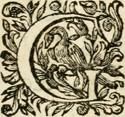 An illustration from L'orologio del piacere : che mostra l'ore del dilettevole soggiorno havto dall'altezza serenissima d. Ernesto Avgvsto, vescovo d'Osnabrvc, duca di Bransuich, Luneburgo, &c. nel luoco di Piazzola di s.e. il signor Marco Contarini, procurator di S. Marco, consacrato all' a.s. dalla medemma eccellenza, 1685, leaf 63