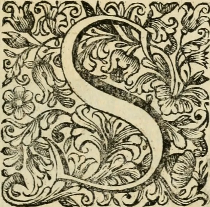 An illustration from L'orologio del piacere : che mostra l'ore del dilettevole soggiorno havto dall'altezza serenissima d. Ernesto Avgvsto, vescovo d'Osnabrvc, duca di Bransuich, Luneburgo, &c. nel luoco di Piazzola di s.e. il signor Marco Contarini, procurator di S. Marco, consacrato all' a.s. dalla medemma eccellenza, 1685, leaf 8