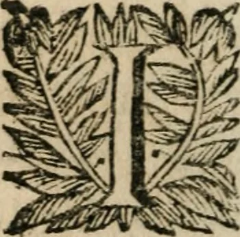 An illustration from L'or potable, qui guarit de tous maux, 1660, leaf 107
