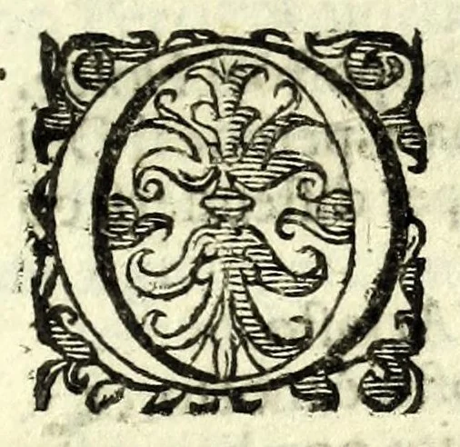 An illustration from Lo sciocco : comedia & inuentione, 1628, leaf 11
