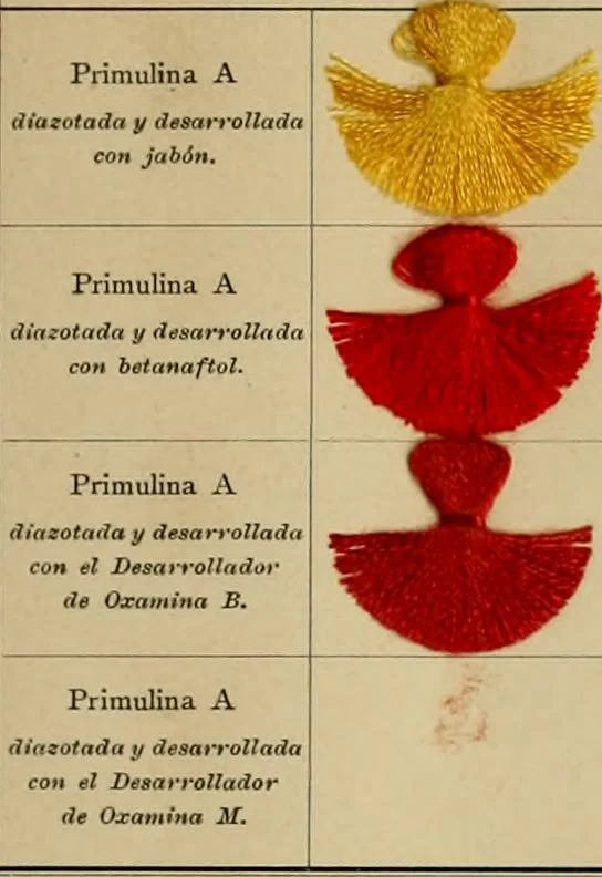 An illustration from Los colores de anilina de la Badische Anilin- & Soda-Fabrik, Ludwigshafen s/Rhin y su aplicación sobre lana, algodón, seda y otras fibras textiles, 1902, leaf 310