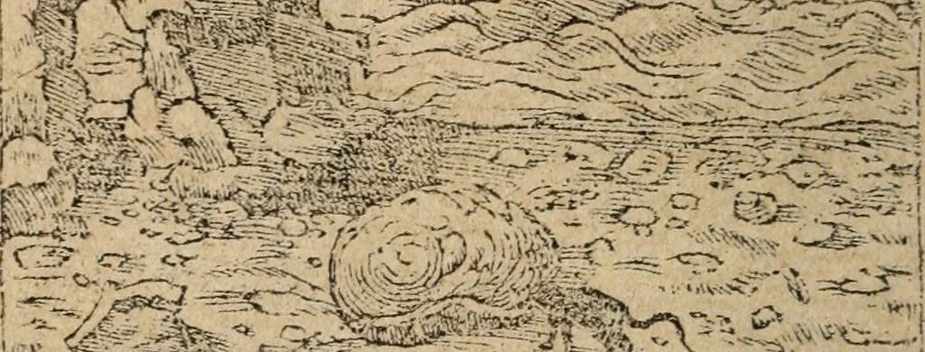 An illustration from Los emblemas de Alciato : traducidos en rhimas españolas ..., 1549, leaf 119