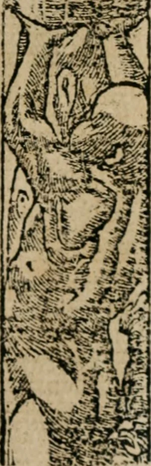 An illustration from Los emblemas de Alciato : traducidos en rhimas españolas ..., 1549, leaf 126