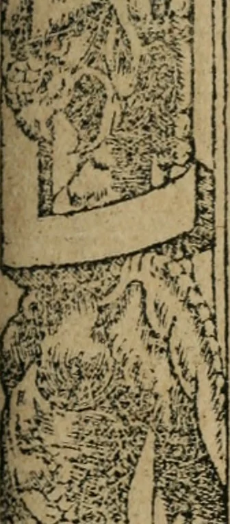 An illustration from Los emblemas de Alciato : traducidos en rhimas españolas ..., 1549, leaf 128