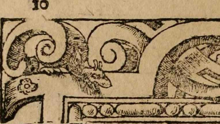 An illustration from Los emblemas de Alciato : traducidos en rhimas españolas ..., 1549, leaf 13
