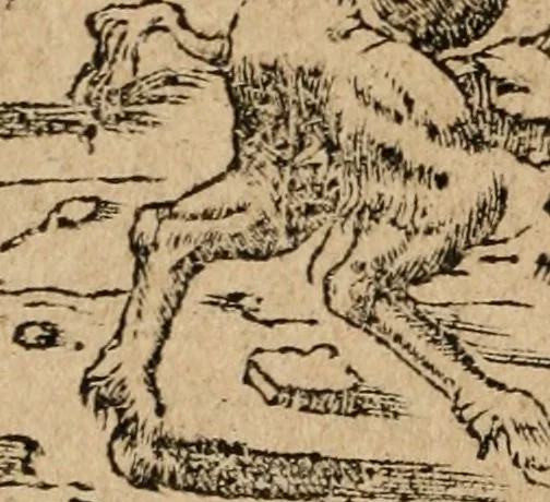 An illustration from Los emblemas de Alciato : traducidos en rhimas españolas ..., 1549, leaf 143