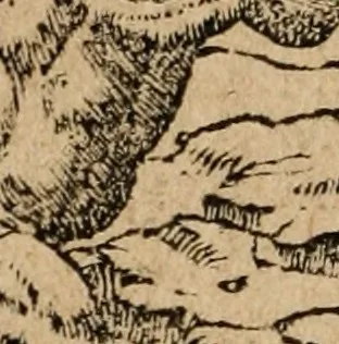 An illustration from Los emblemas de Alciato : traducidos en rhimas españolas ..., 1549, leaf 143