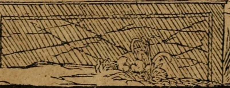 An illustration from Los emblemas de Alciato : traducidos en rhimas españolas ..., 1549, leaf 156