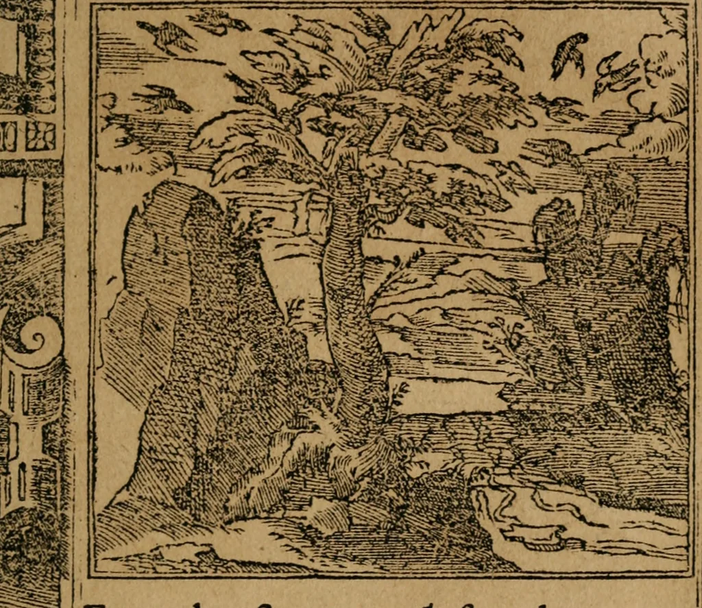 An illustration from Los emblemas de Alciato : traducidos en rhimas españolas ..., 1549, leaf 166