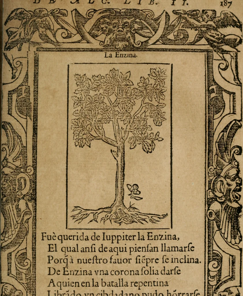 An illustration from Los emblemas de Alciato : traducidos en rhimas españolas ..., 1549, leaf 190