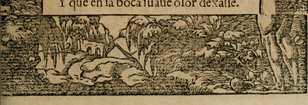 An illustration from Los emblemas de Alciato : traducidos en rhimas españolas ..., 1549, leaf 194