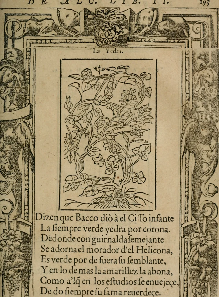 An illustration from Los emblemas de Alciato : traducidos en rhimas españolas ..., 1549, leaf 196