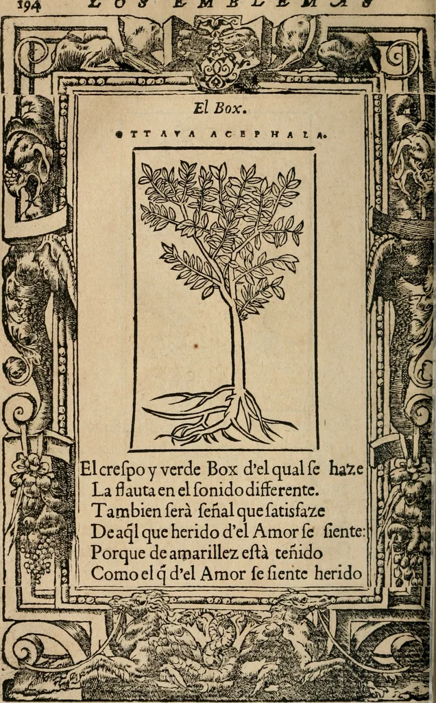 An illustration from Los emblemas de Alciato : traducidos en rhimas españolas ..., 1549, leaf 197