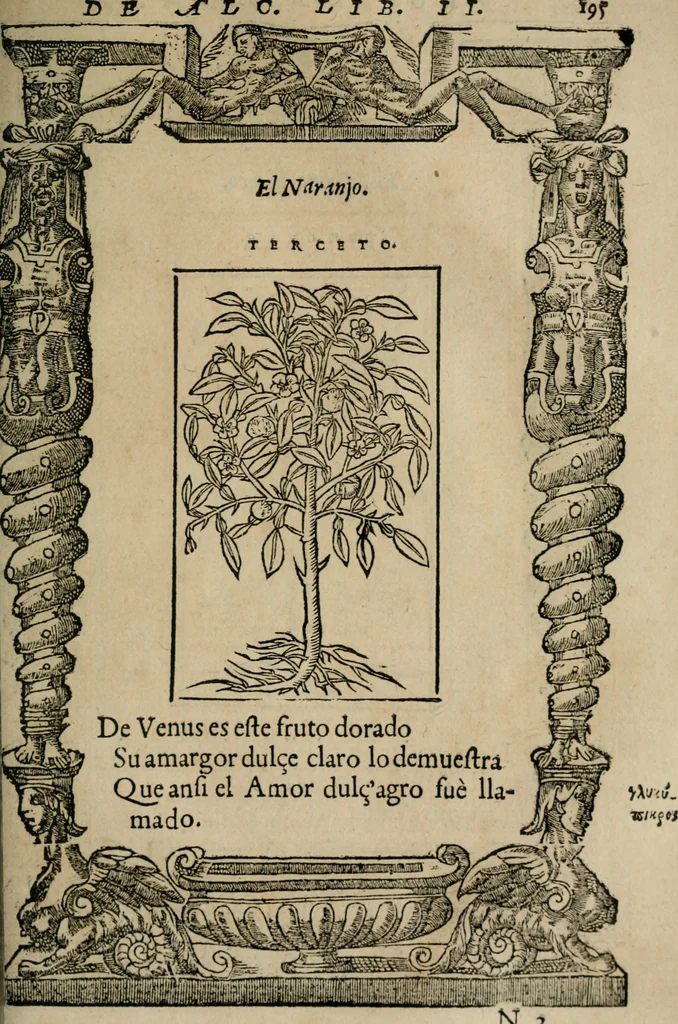 An illustration from Los emblemas de Alciato : traducidos en rhimas españolas ..., 1549, leaf 198