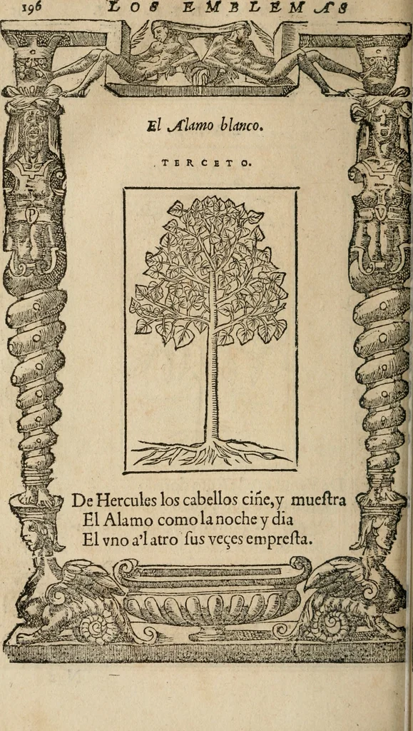 An illustration from Los emblemas de Alciato : traducidos en rhimas españolas ..., 1549, leaf 199