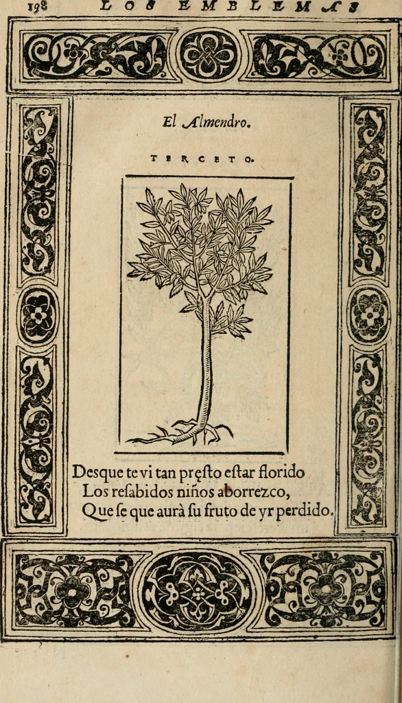 An illustration from Los emblemas de Alciato : traducidos en rhimas españolas ..., 1549, leaf 201