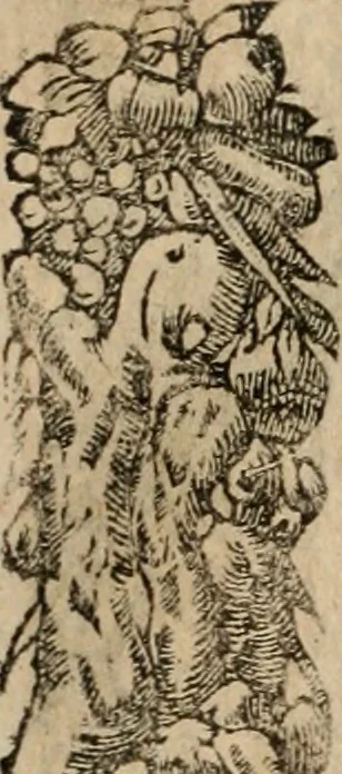 An illustration from Los emblemas de Alciato : traducidos en rhimas españolas ..., 1549, leaf 203