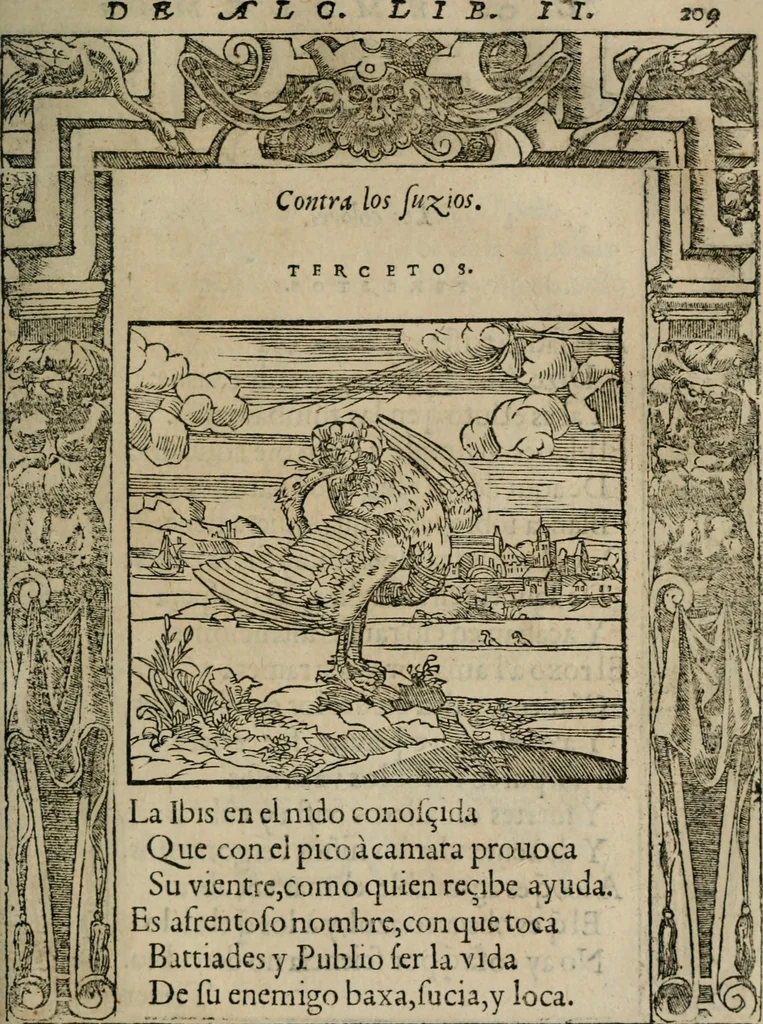 An illustration from Los emblemas de Alciato : traducidos en rhimas españolas ..., 1549, leaf 212