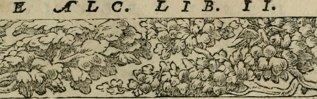 An illustration from Los emblemas de Alciato : traducidos en rhimas españolas ..., 1549, leaf 228