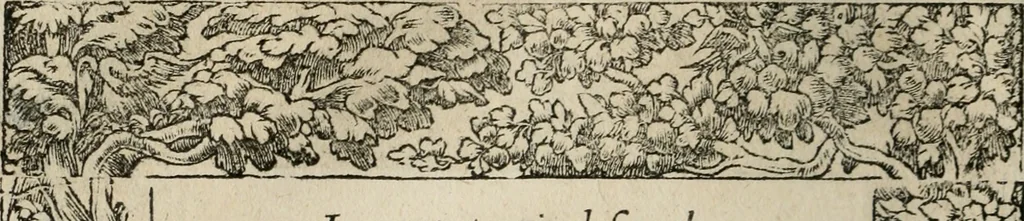 An illustration from Los emblemas de Alciato : traducidos en rhimas españolas ..., 1549, leaf 229