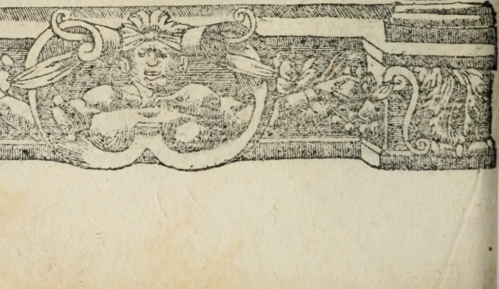 An illustration from Los emblemas de Alciato : traducidos en rhimas españolas ..., 1549, leaf 231