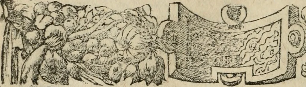 An illustration from Los emblemas de Alciato : traducidos en rhimas españolas ..., 1549, leaf 239