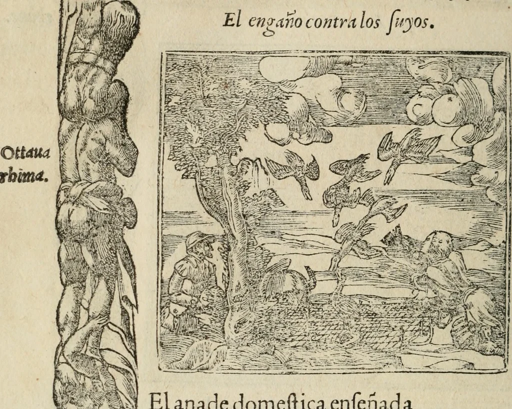 An illustration from Los emblemas de Alciato : traducidos en rhimas españolas ..., 1549, leaf 239