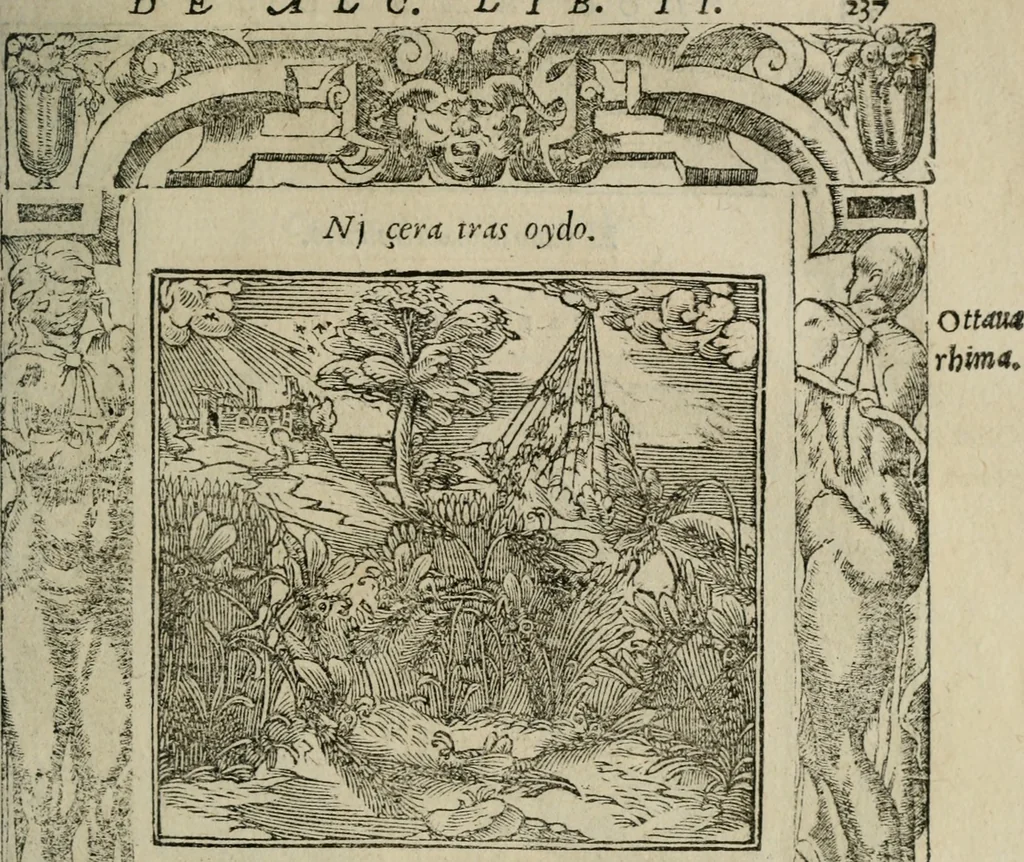 An illustration from Los emblemas de Alciato : traducidos en rhimas españolas ..., 1549, leaf 240