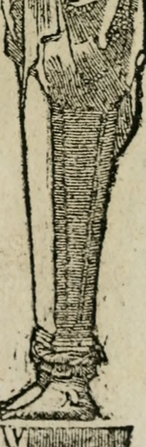 An illustration from Los emblemas de Alciato : traducidos en rhimas españolas ..., 1549, leaf 242