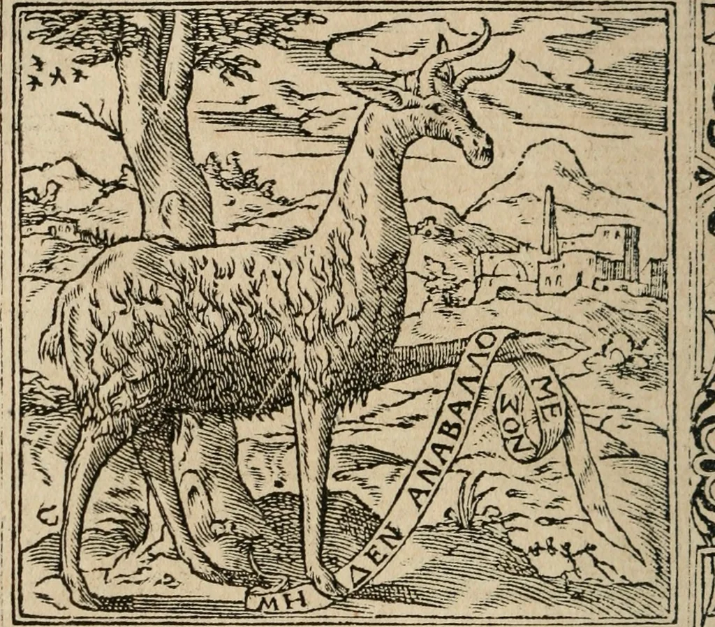 An illustration from Los emblemas de Alciato : traducidos en rhimas españolas ..., 1549, leaf 245