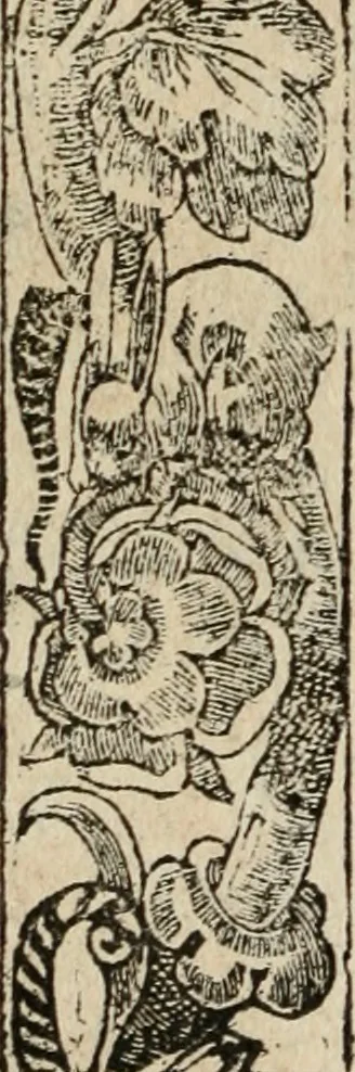 An illustration from Los emblemas de Alciato : traducidos en rhimas españolas ..., 1549, leaf 247