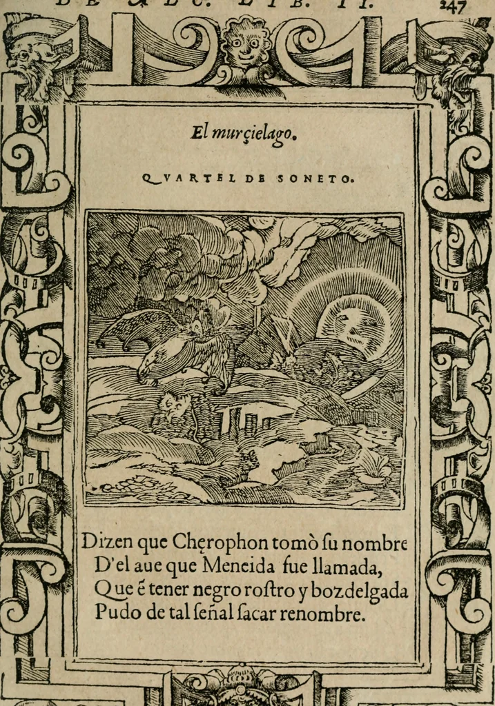 An illustration from Los emblemas de Alciato : traducidos en rhimas españolas ..., 1549, leaf 250