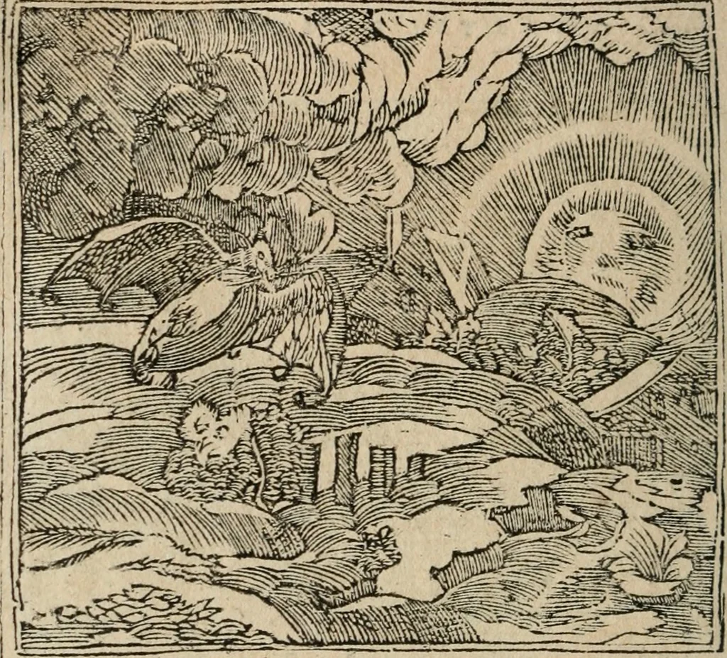 An illustration from Los emblemas de Alciato : traducidos en rhimas españolas ..., 1549, leaf 251