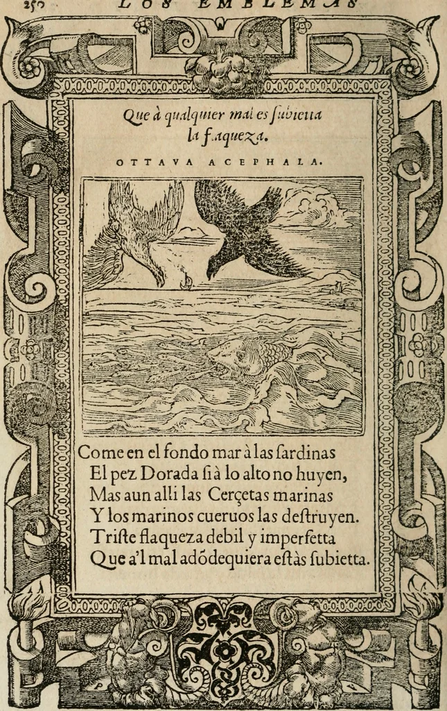 An illustration from Los emblemas de Alciato : traducidos en rhimas españolas ..., 1549, leaf 253