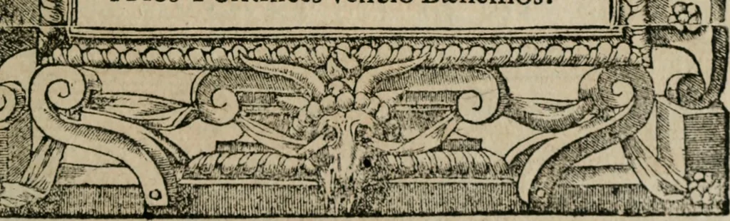An illustration from Los emblemas de Alciato : traducidos en rhimas españolas ..., 1549, leaf 256