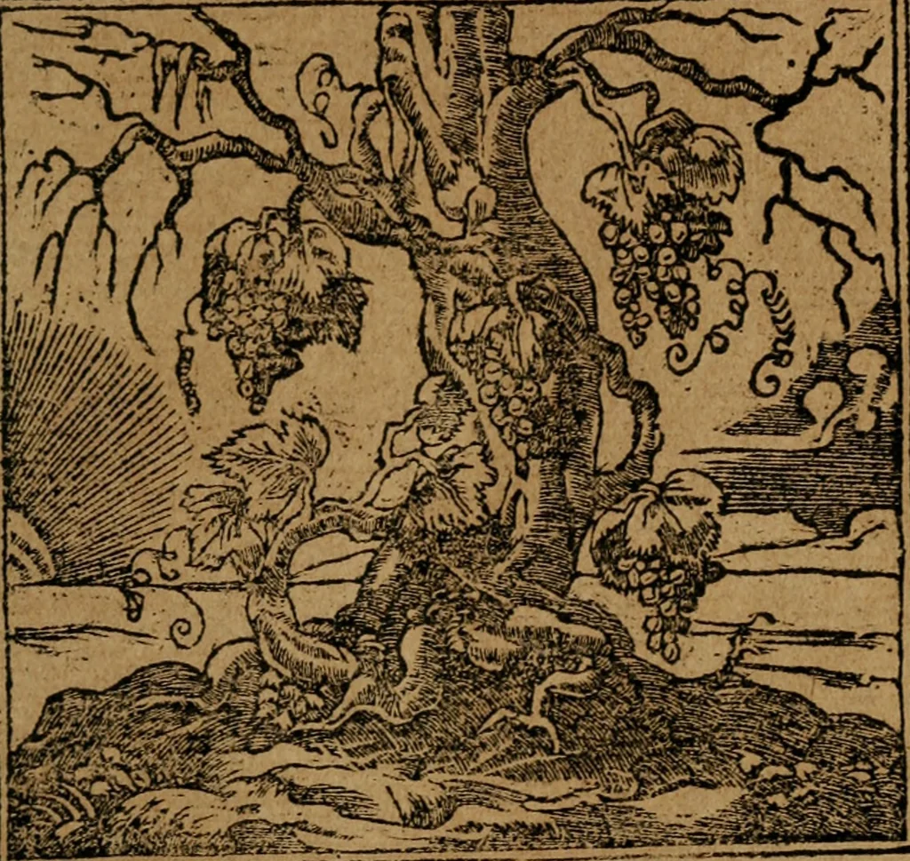 An illustration from Los emblemas de Alciato : traducidos en rhimas españolas ..., 1549, leaf 34