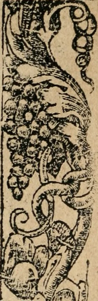 An illustration from Los emblemas de Alciato : traducidos en rhimas españolas ..., 1549, leaf 43