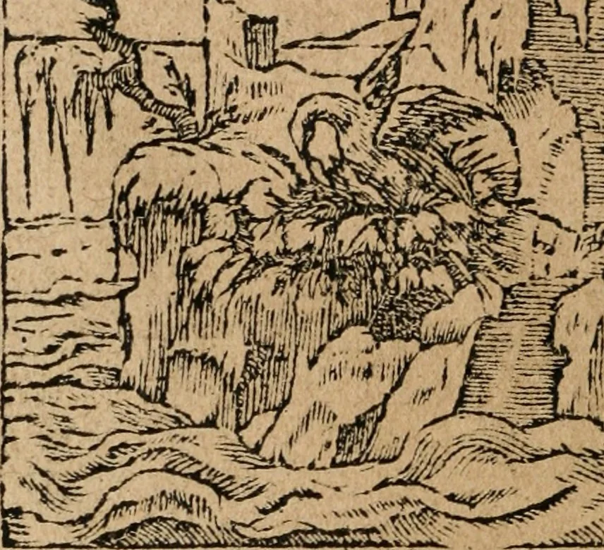 An illustration from Los emblemas de Alciato : traducidos en rhimas españolas ..., 1549, leaf 43
