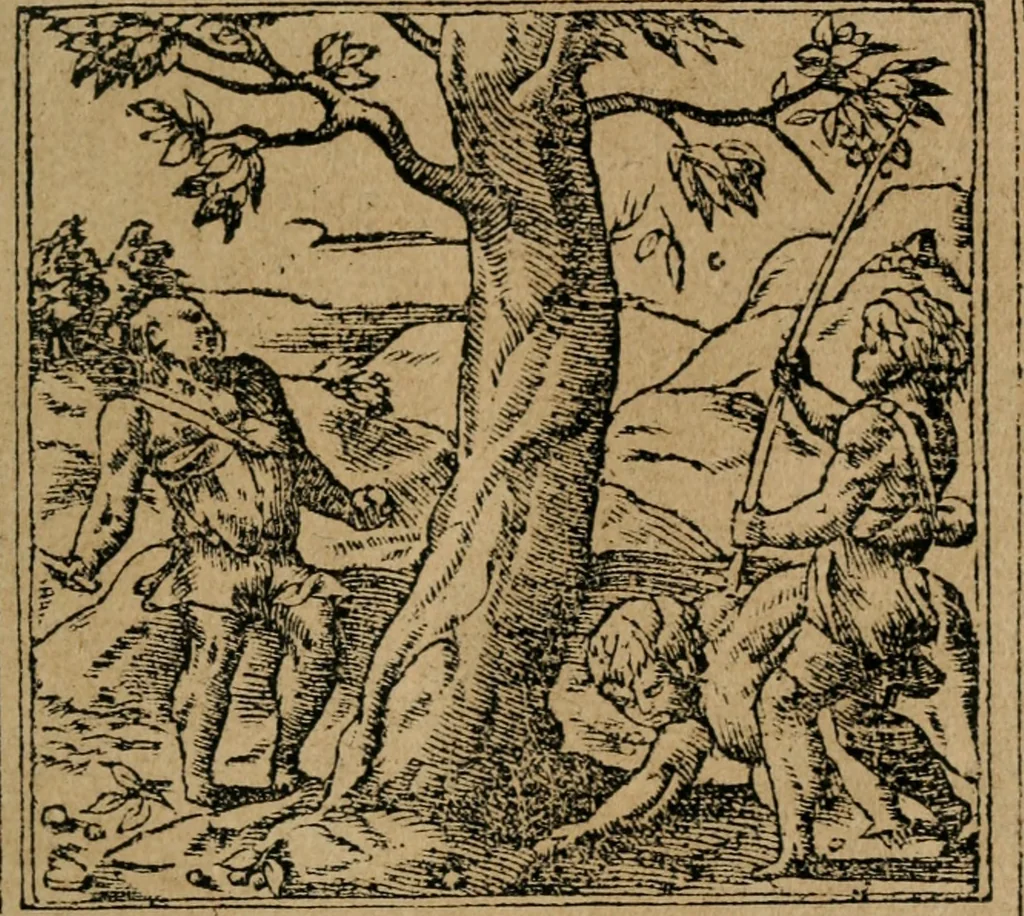 An illustration from Los emblemas de Alciato : traducidos en rhimas españolas ..., 1549, leaf 64