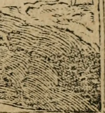 An illustration from Los emblemas de Alciato : traducidos en rhimas españolas ..., 1549, leaf 74