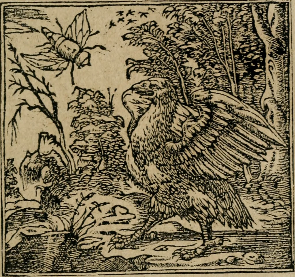 An illustration from Los emblemas de Alciato : traducidos en rhimas españolas ..., 1549, leaf 80