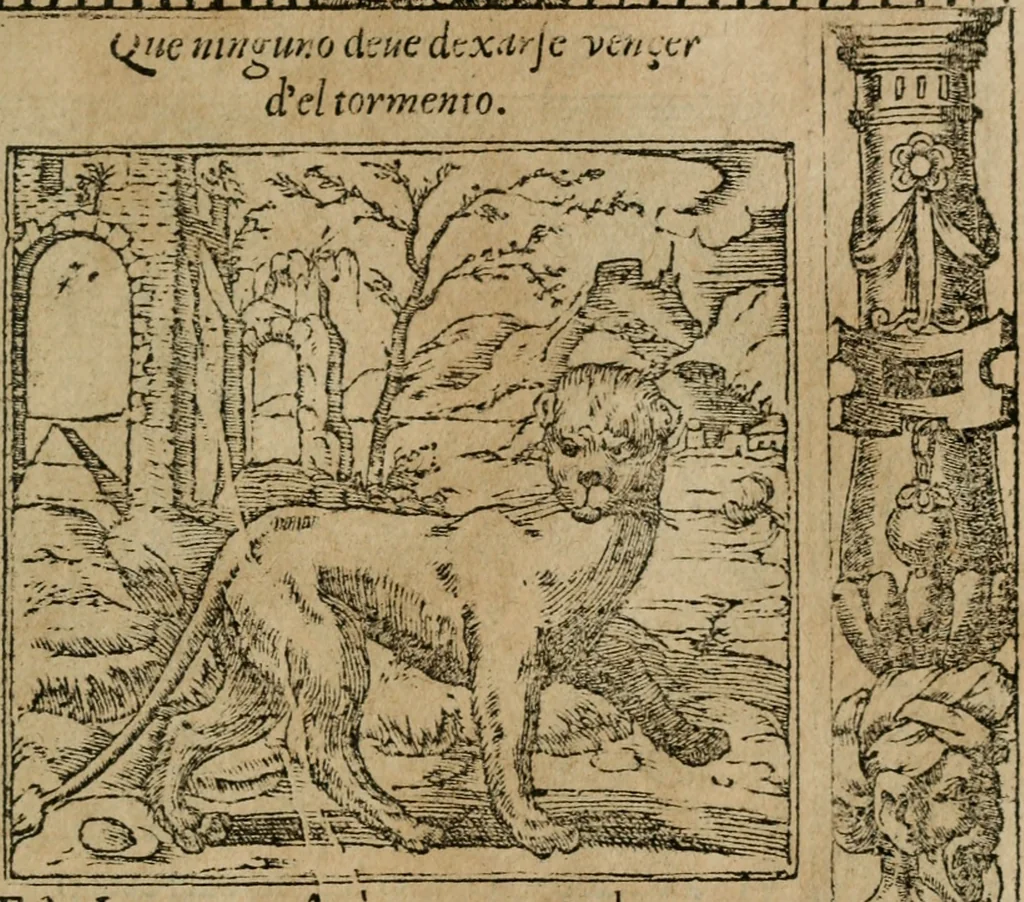 An illustration from Los emblemas de Alciato : traducidos en rhimas españolas ..., 1549, leaf 90
