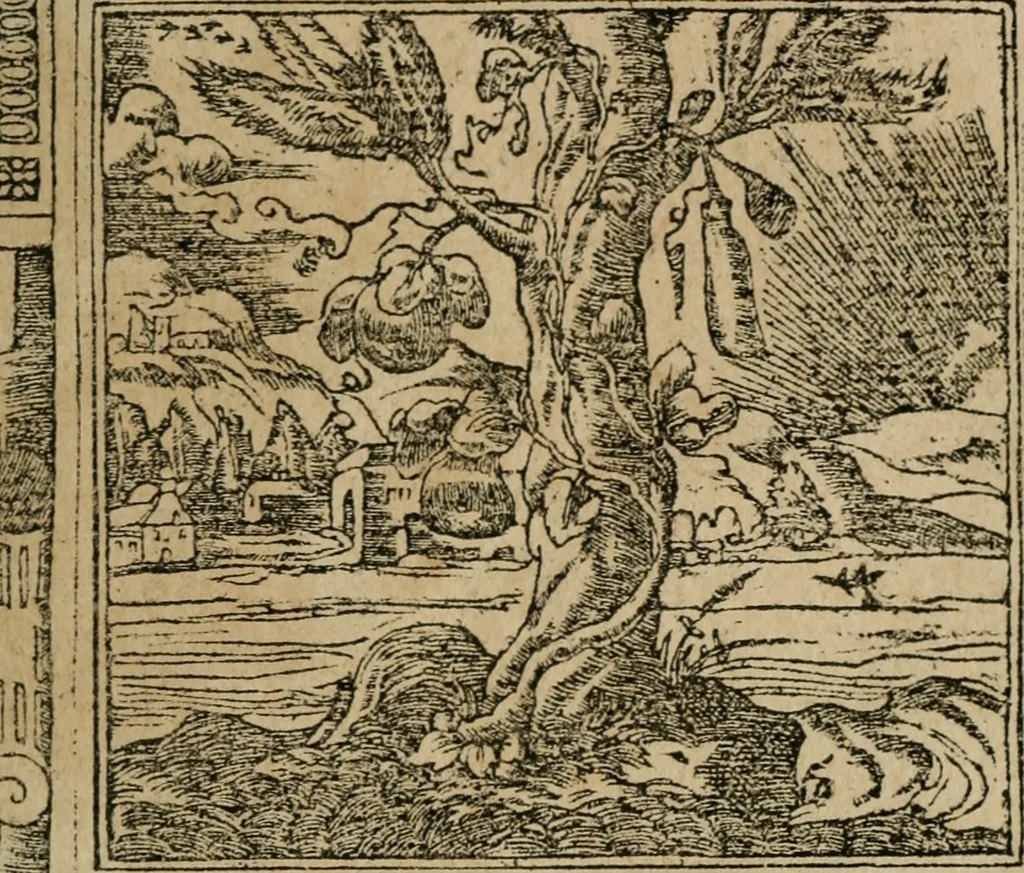 An illustration from Los emblemas de Alciato : traducidos en rhimas españolas ..., 1549, leaf 98
