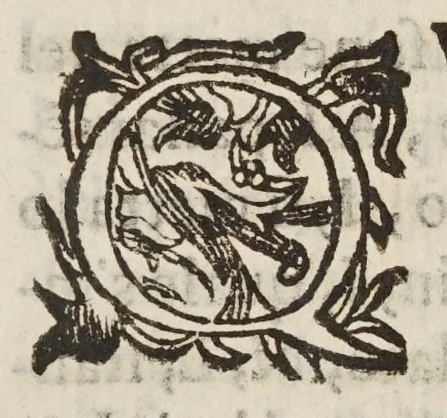 An illustration from Lo specchio vstorio, overo, Trattato delle settioni coniche, et alcvni loro mirabili effetti intorno al lume, caldo, freddo, suono, e moto ancora ..., 1632, leaf 207