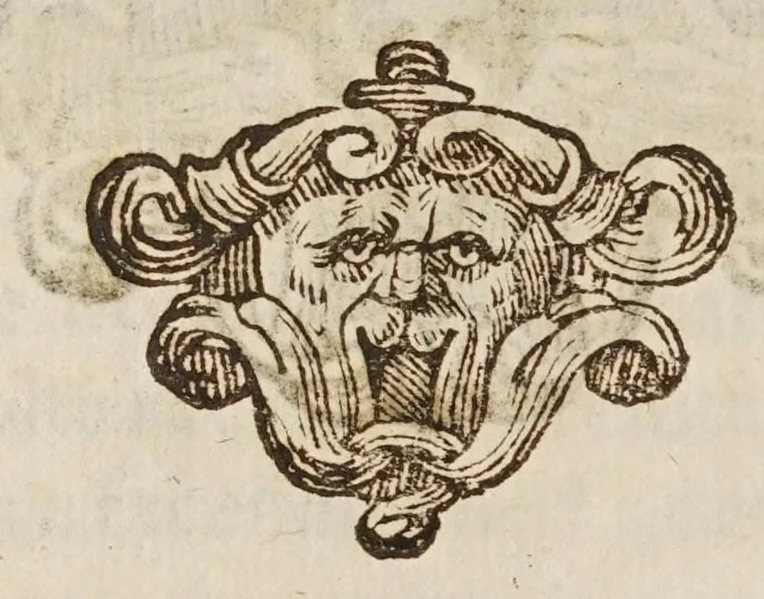 An illustration from Lo specchio vstorio, overo, Trattato delle settioni coniche, et alcvni loro mirabili effetti intorno al lume, caldo, freddo, suono, e moto ancora ..., 1632, leaf 244