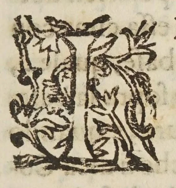An illustration from Lo specchio vstorio, overo, Trattato delle settioni coniche, et alcvni loro mirabili effetti intorno al lume, caldo, freddo, suono, e moto ancora ..., 1632, leaf 29